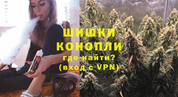 спайс Инта