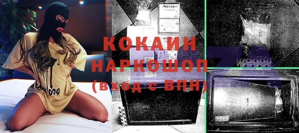 спайс Инта