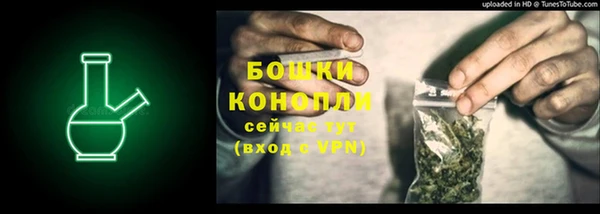 спайс Инта