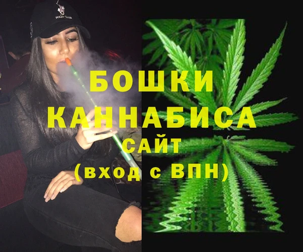 бошки Иннополис