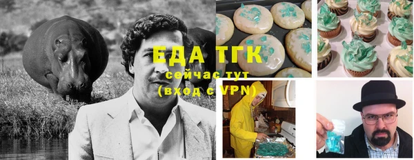 спайс Инта