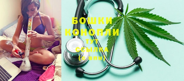 спайс Инта