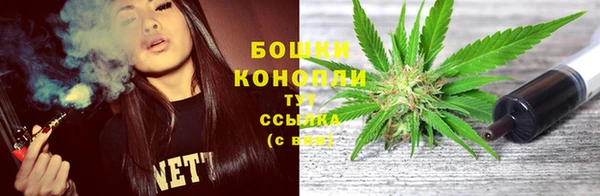 бошки Иннополис